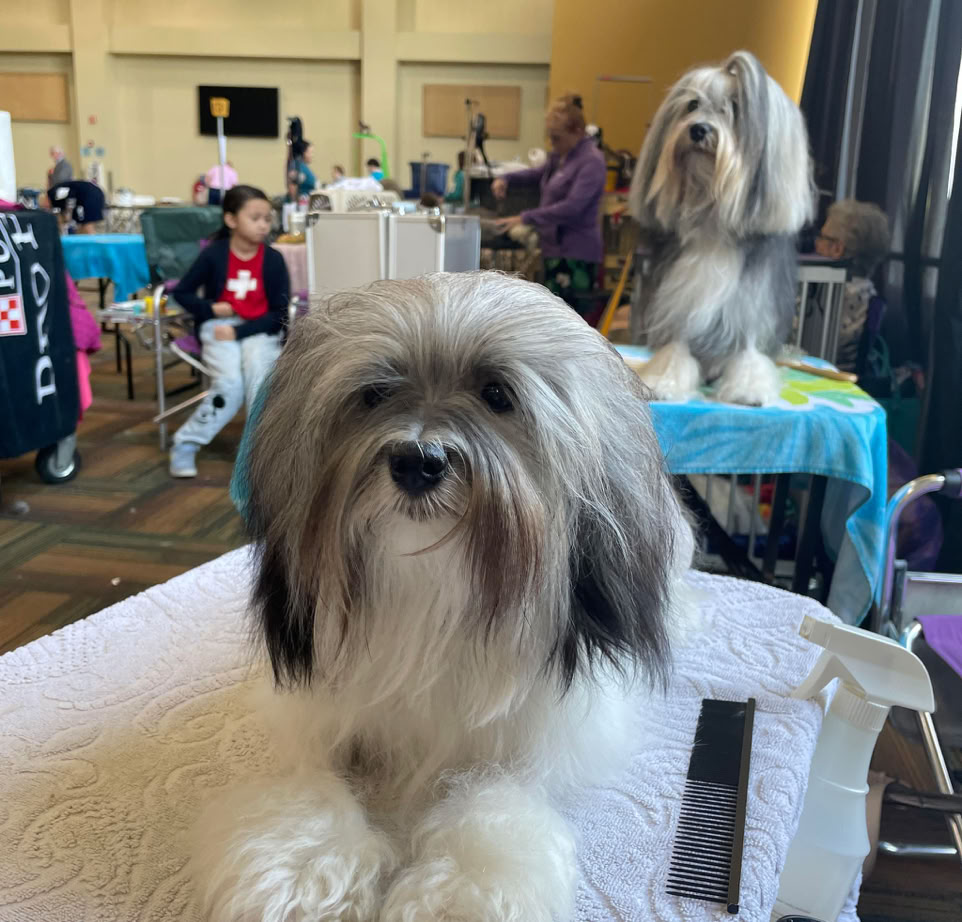 A teenage girl with a distressed expression, wearing a pink sweater, sits indoors.