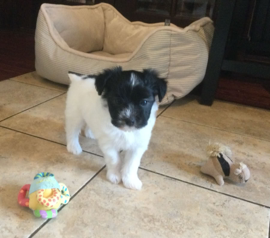 A touching and intimate close-up of a father holding his baby's adorable bare feet.